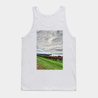 Autumn at Lake Constance, Germany Tank Top